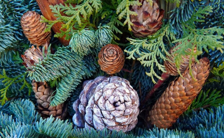 Wreathmaking queenswood