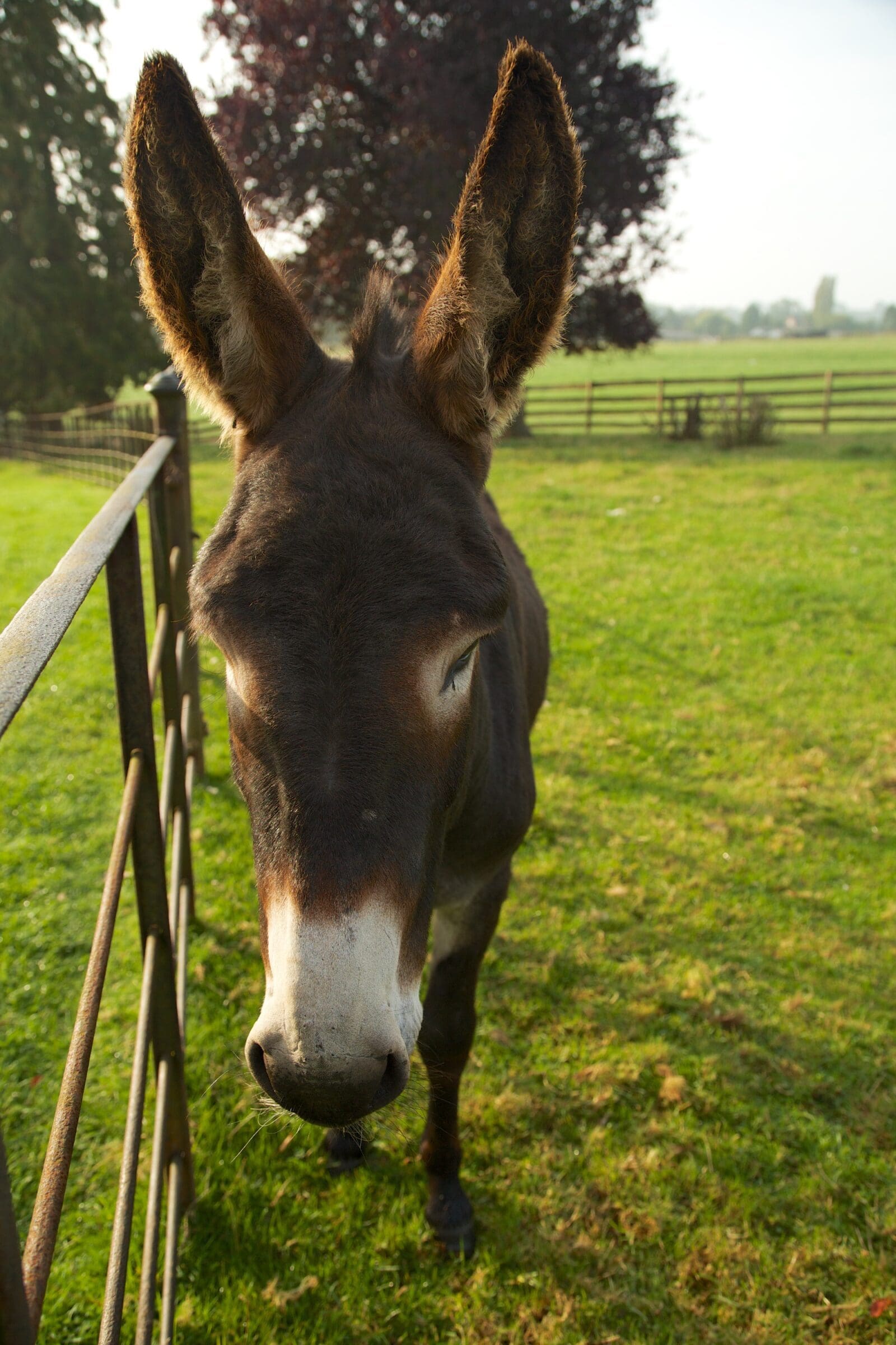 Huntlands Farm