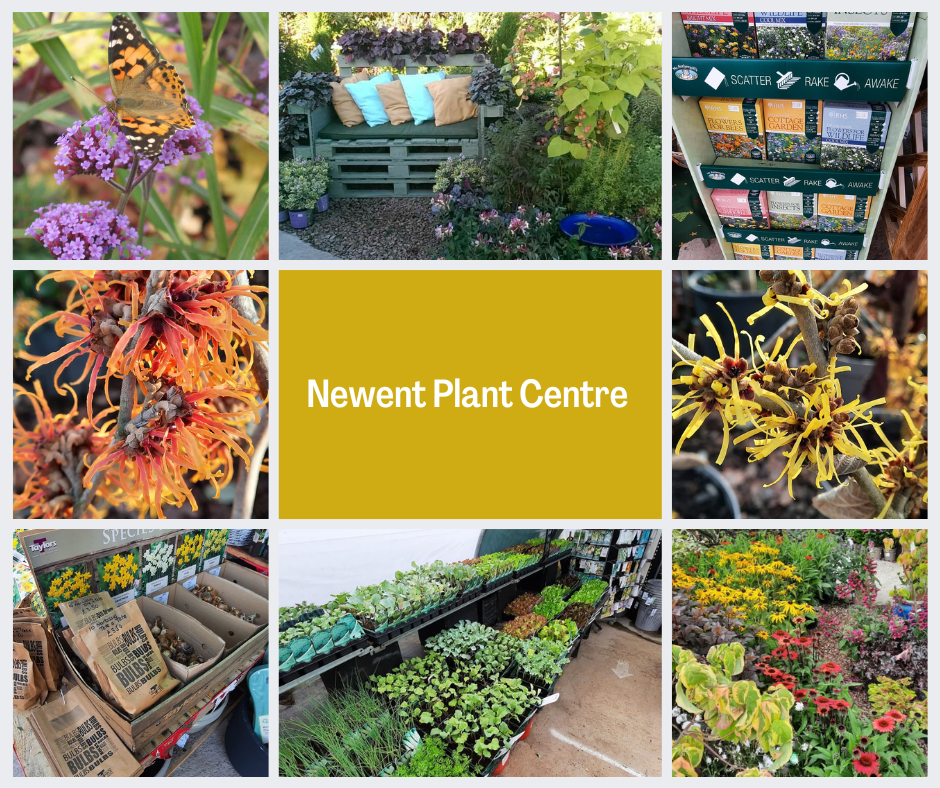 Newent Plant Centre