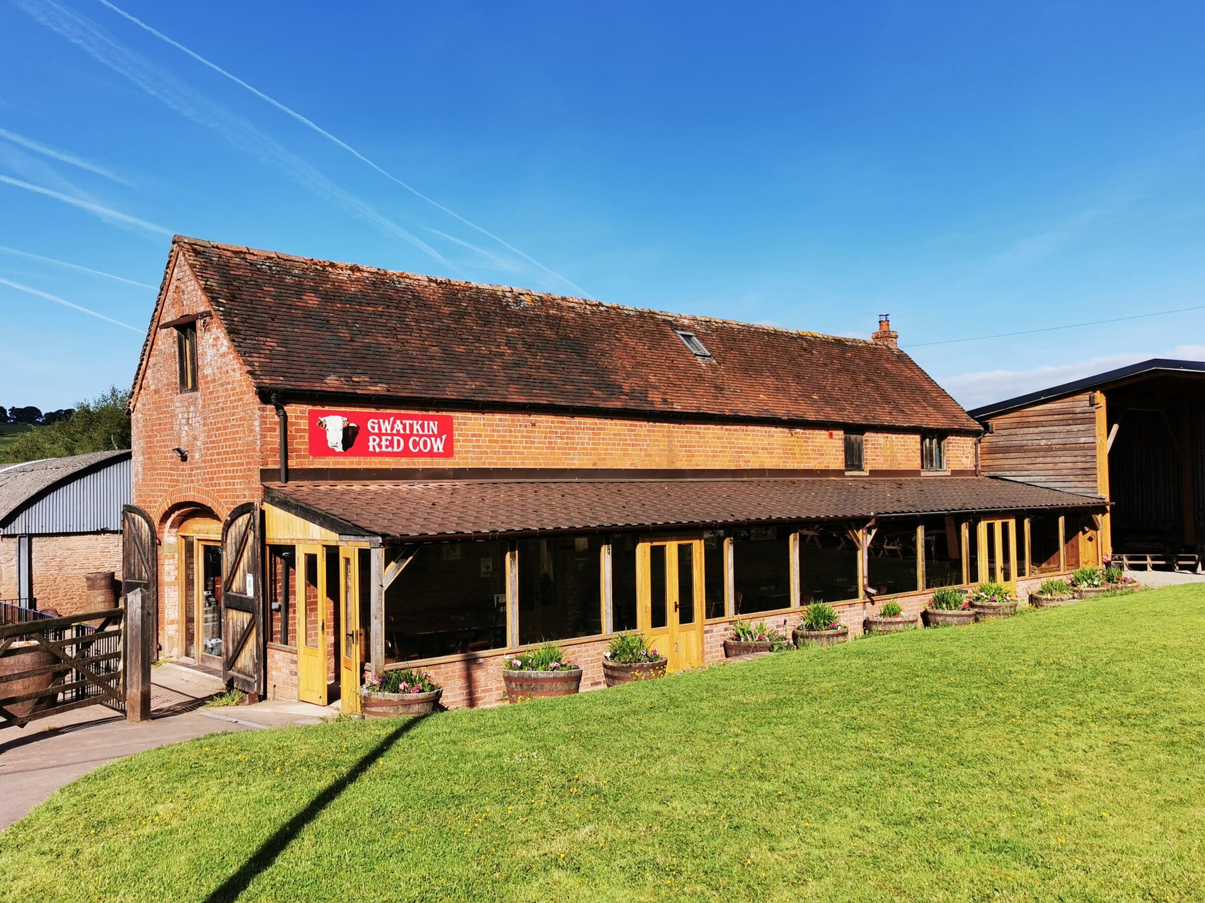 Gwatkin Red Cow