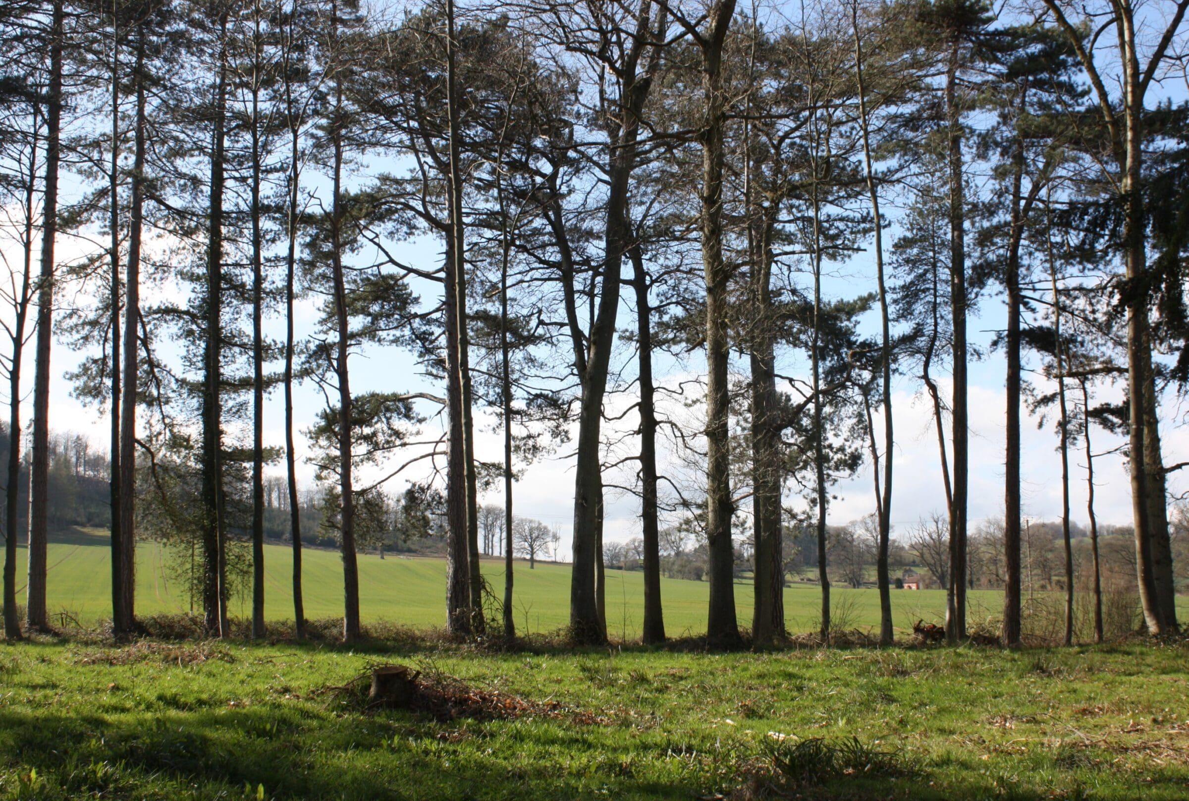 National Garden Scheme (NGS) Herefordshire