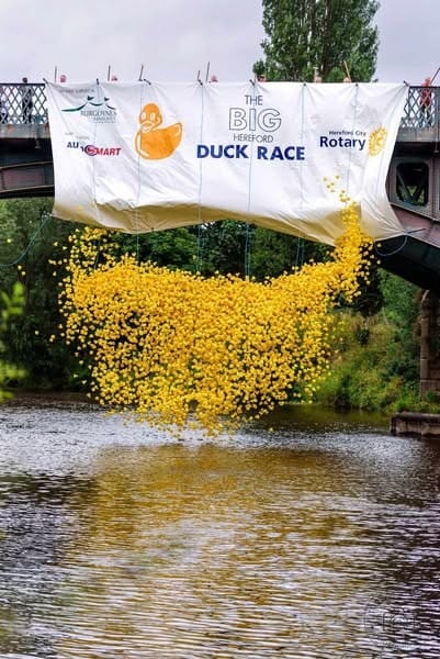 Duck race