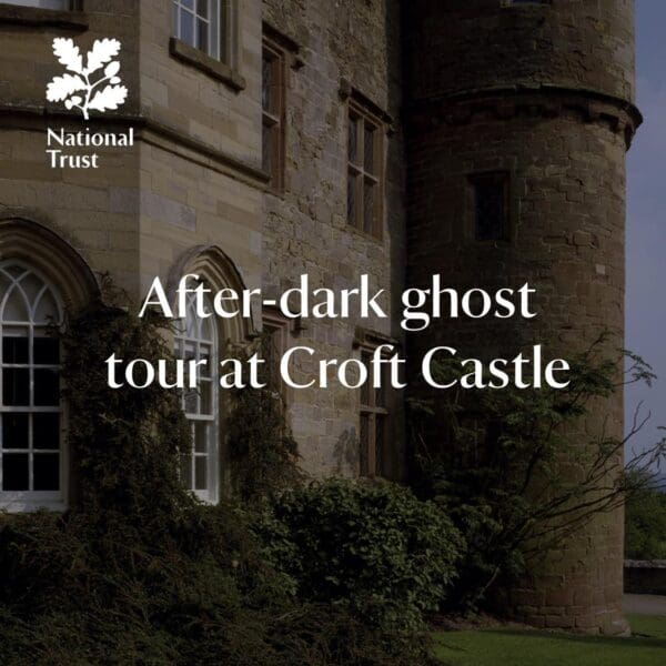After dark tour