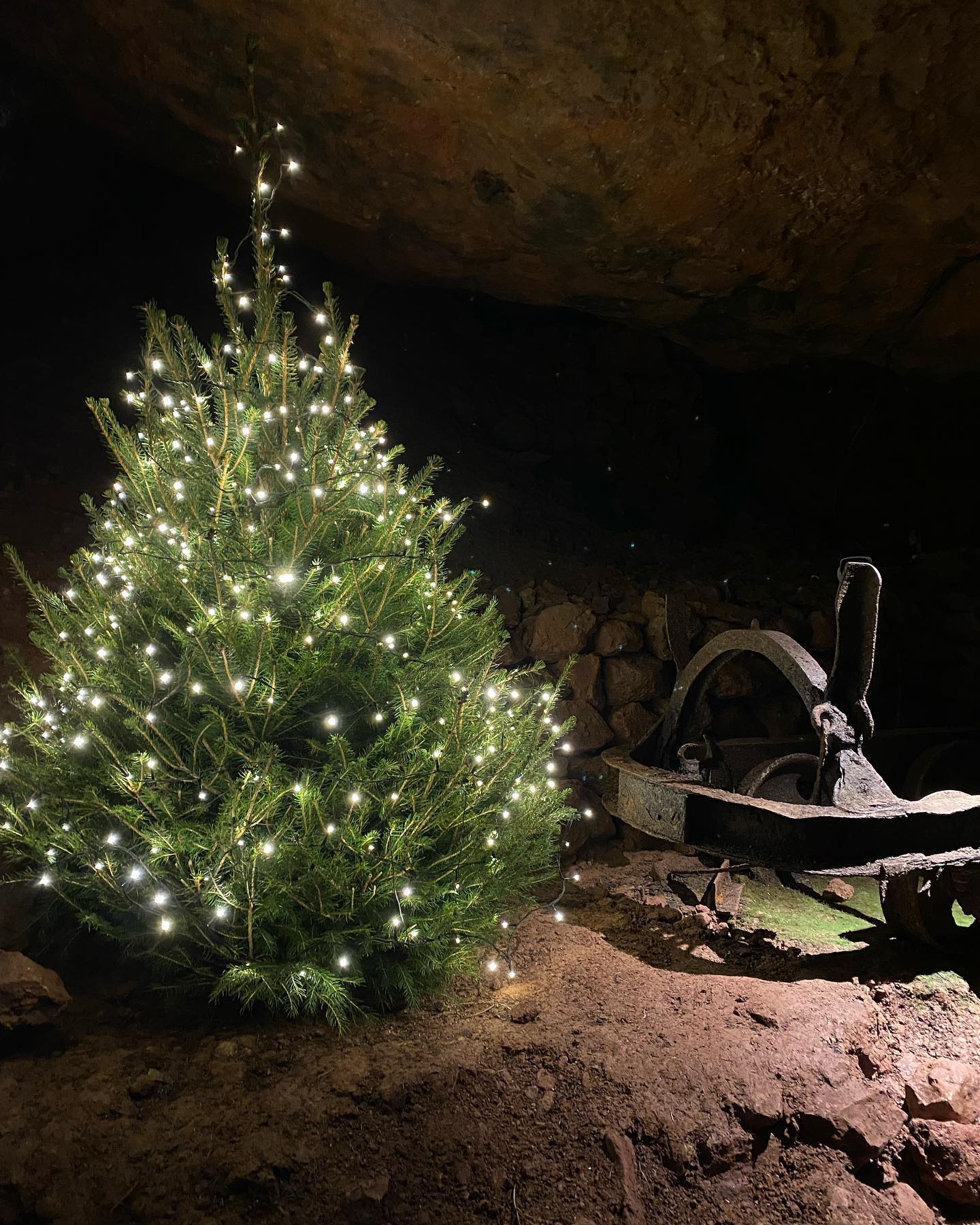 christmas tree clearwell caves