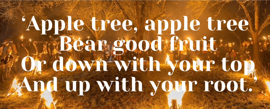 ‘Apple tree, apple tree Bear good fruit Or down with your top And up with your root.’