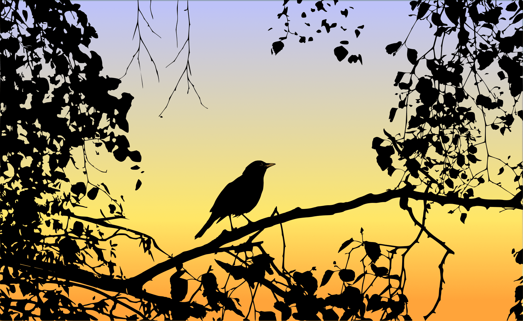 twilight bird