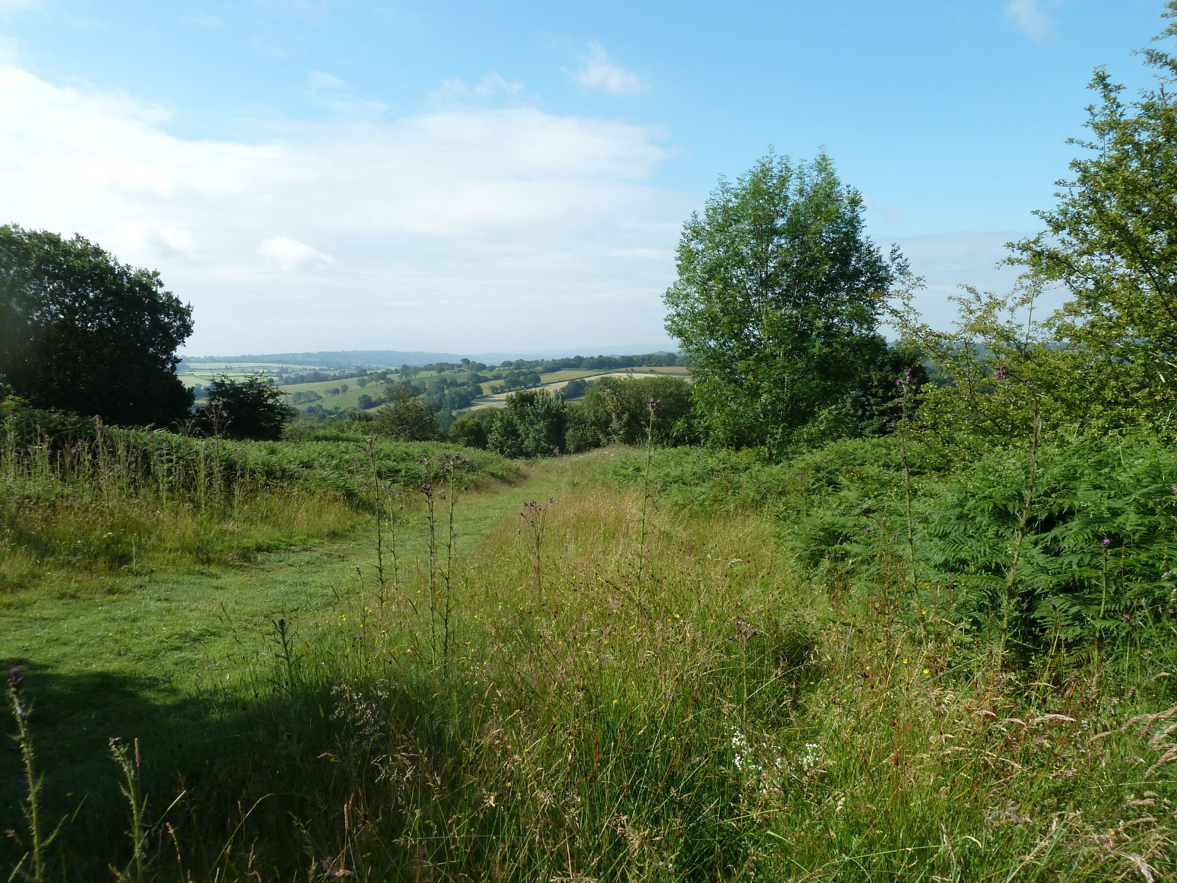 Bromyard Downs