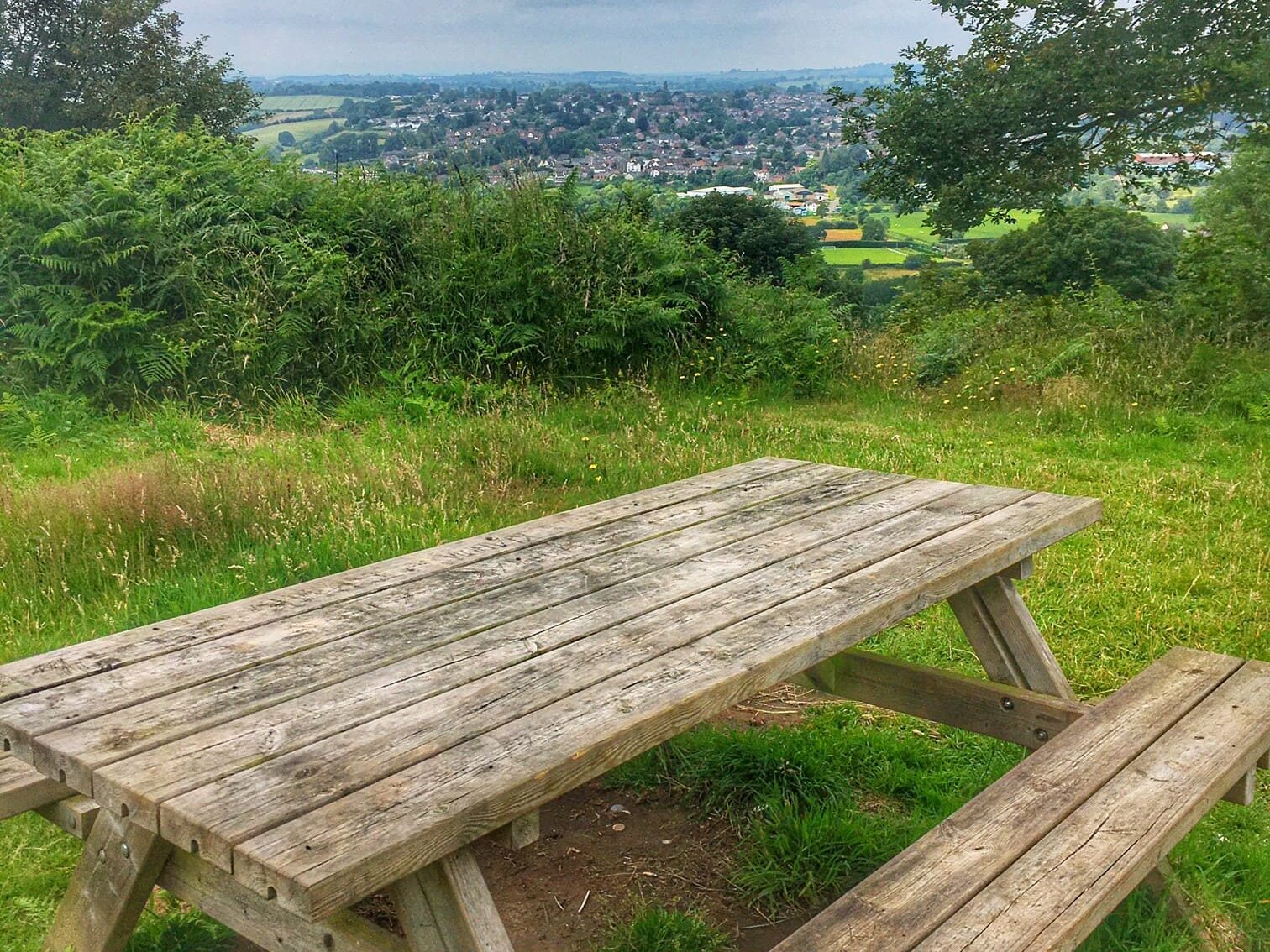 Bromyard Downs picnic bench