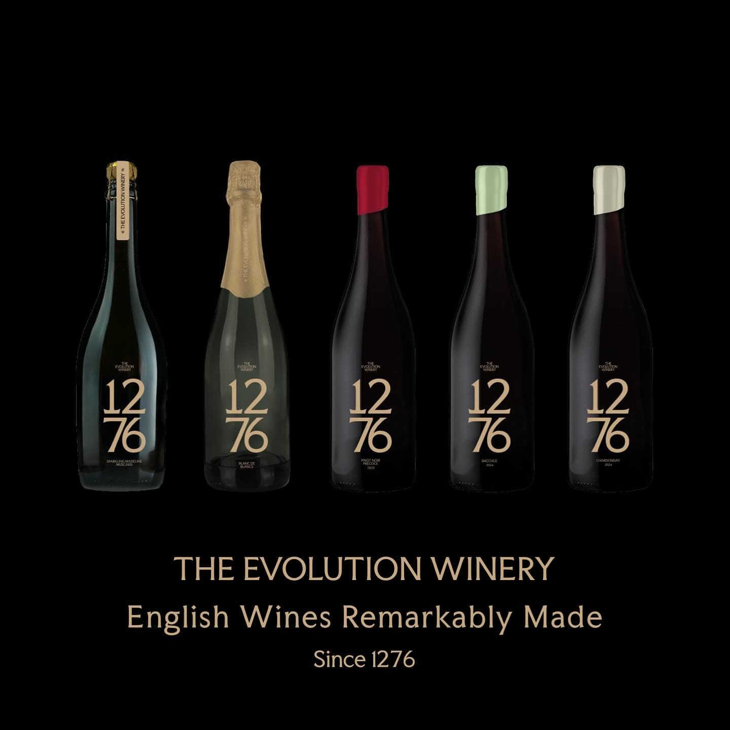 evolution 4