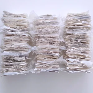 plasticeverywhere.jpg