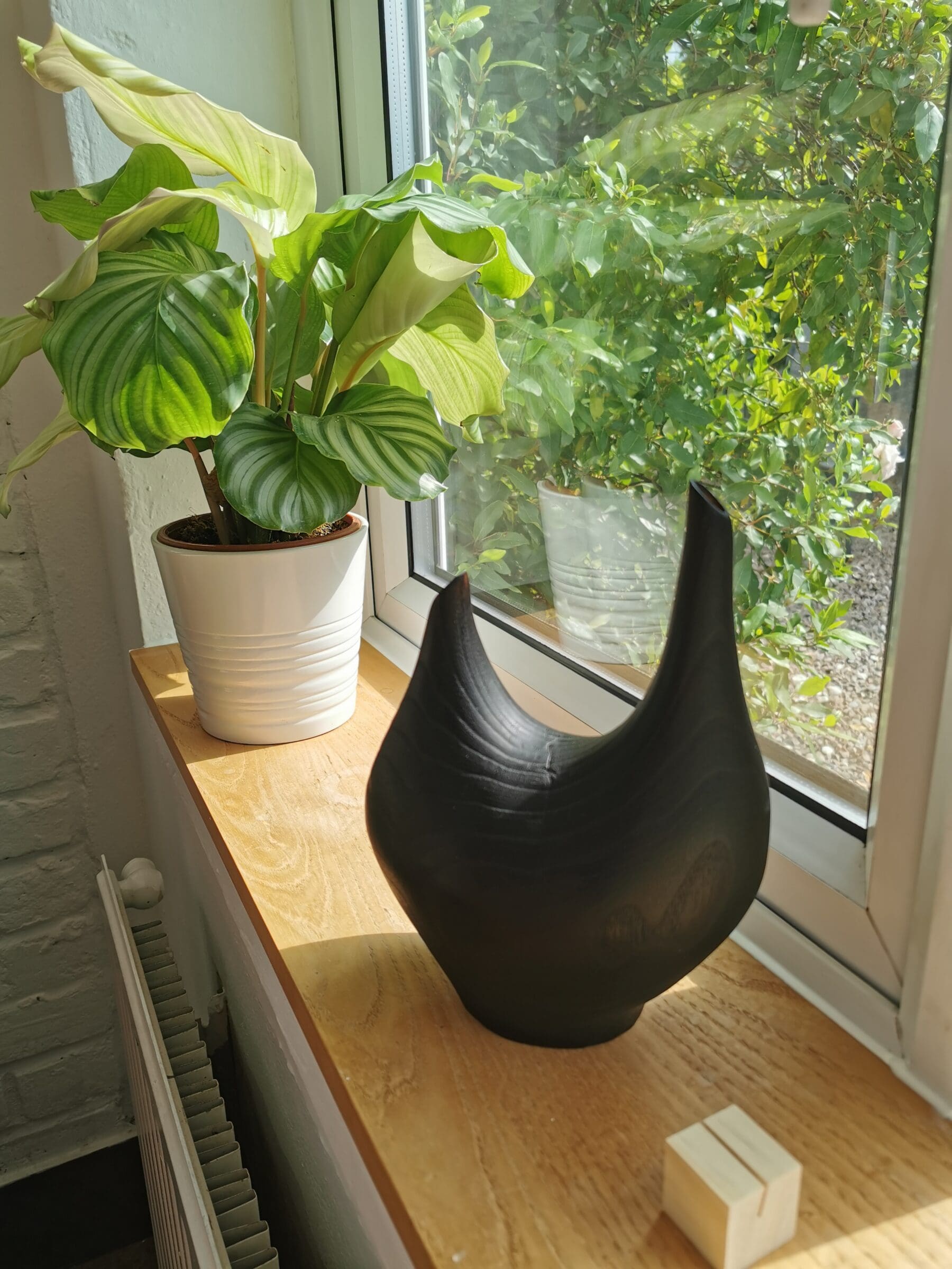 Sorrel and Sage Gallery