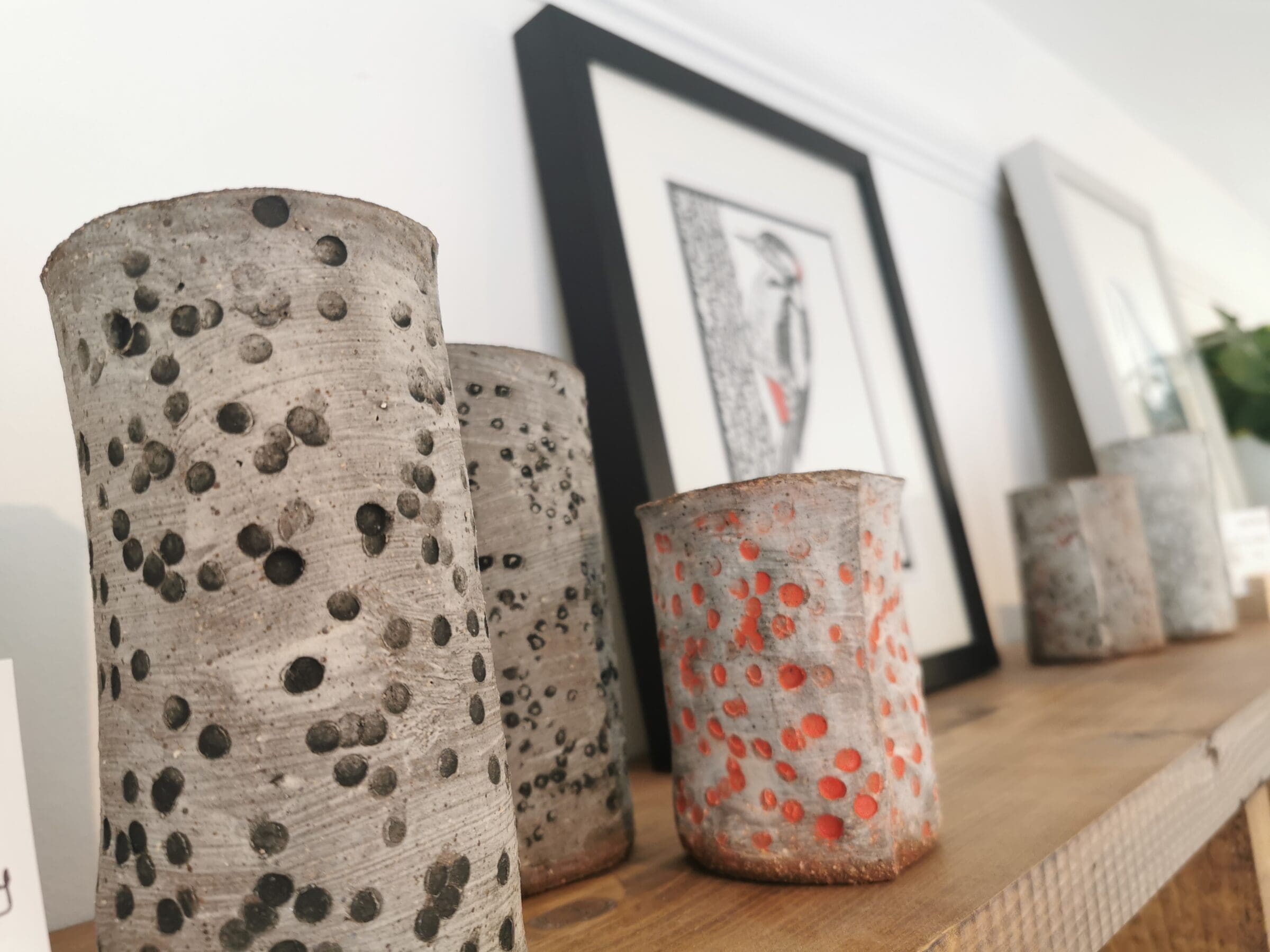 Sorrel and Sage Gallery