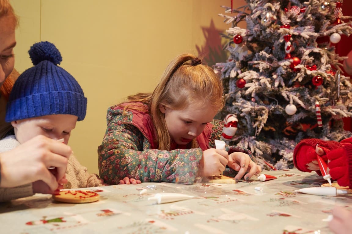 Winter Glow, Three Counties Showground Mrs Claus' bakery (Medium)