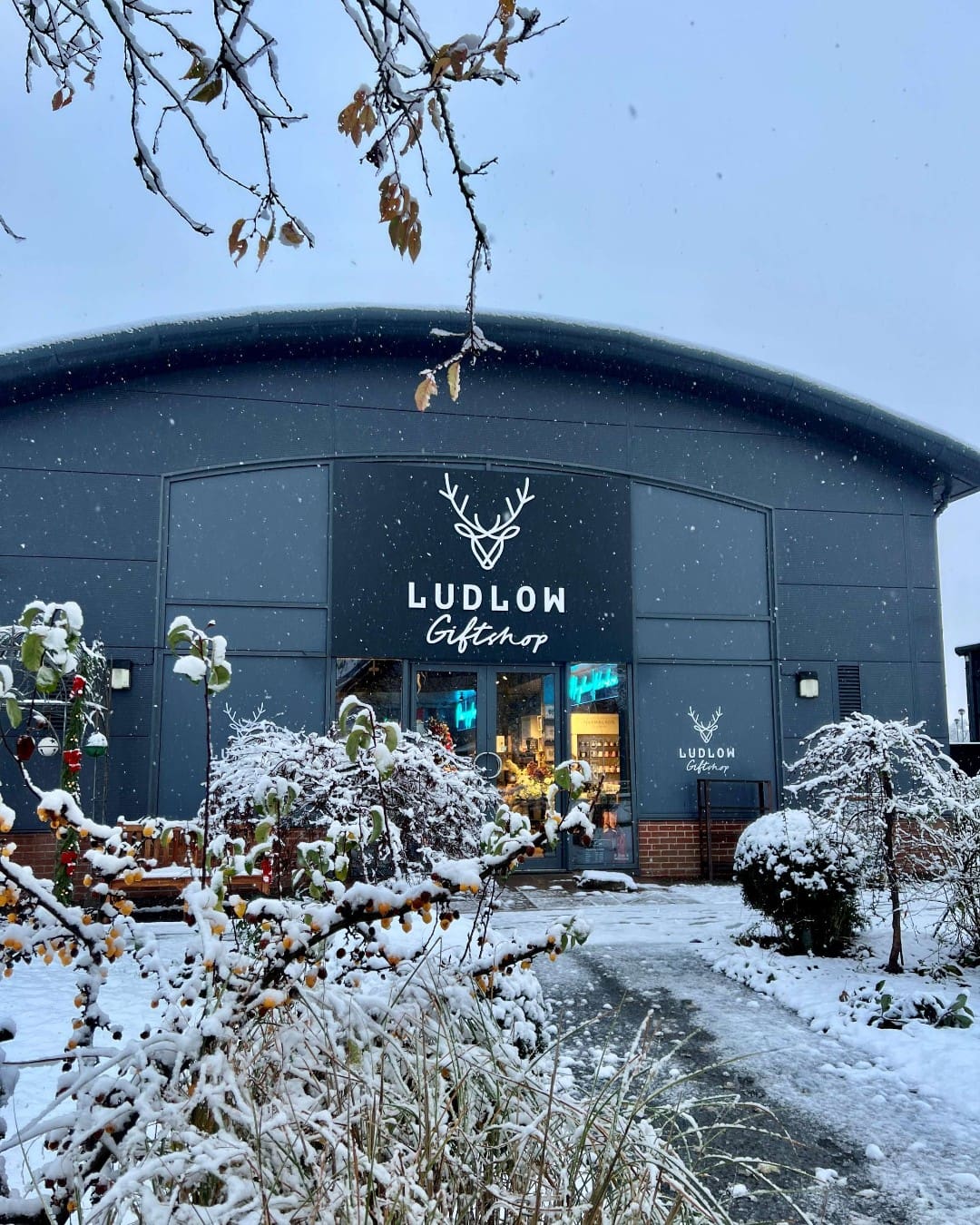 ludlow fs snow