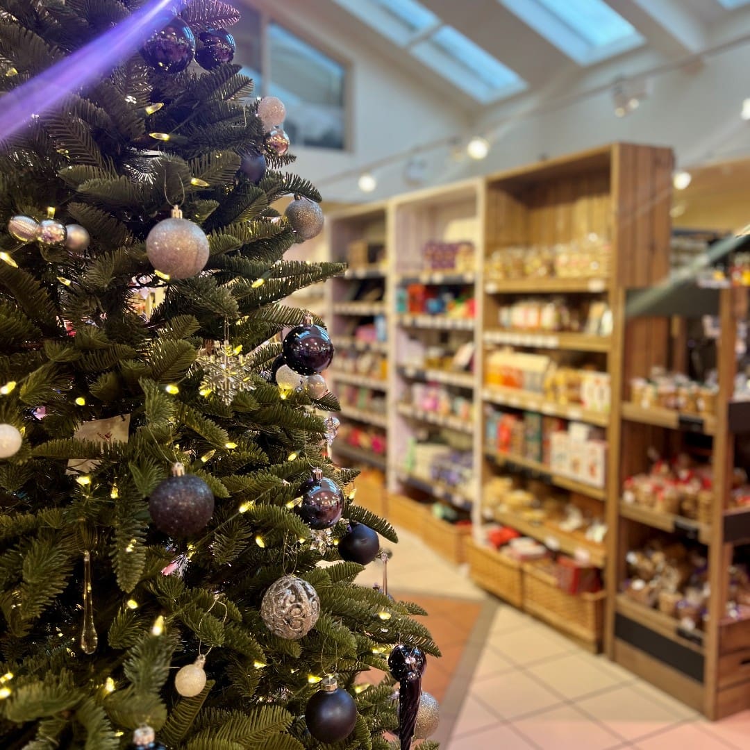 ludlow fs xmas