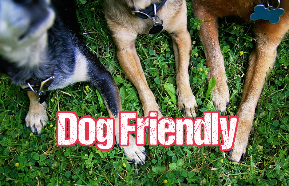 Dog Friendly general