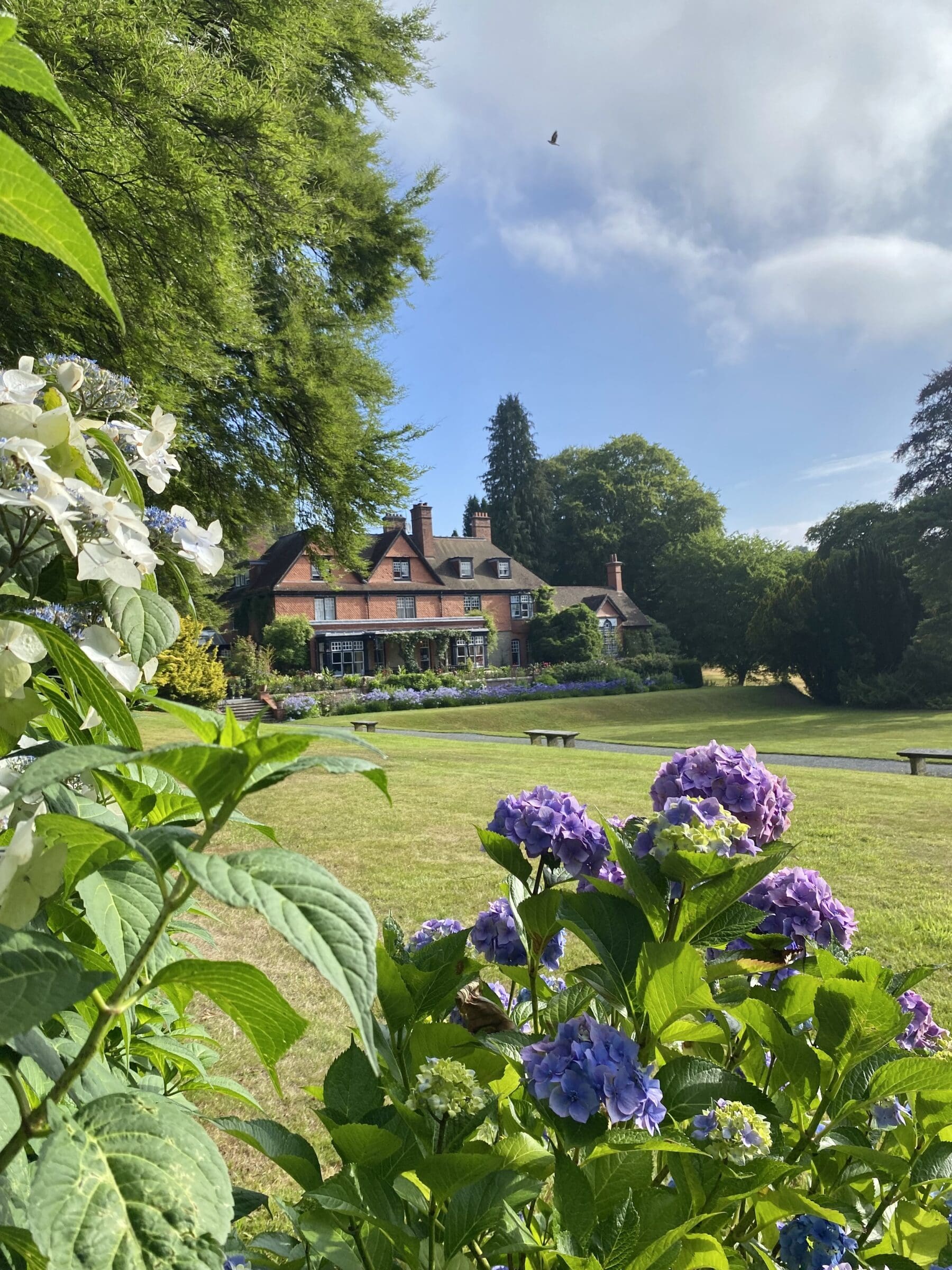 Hergest image press release