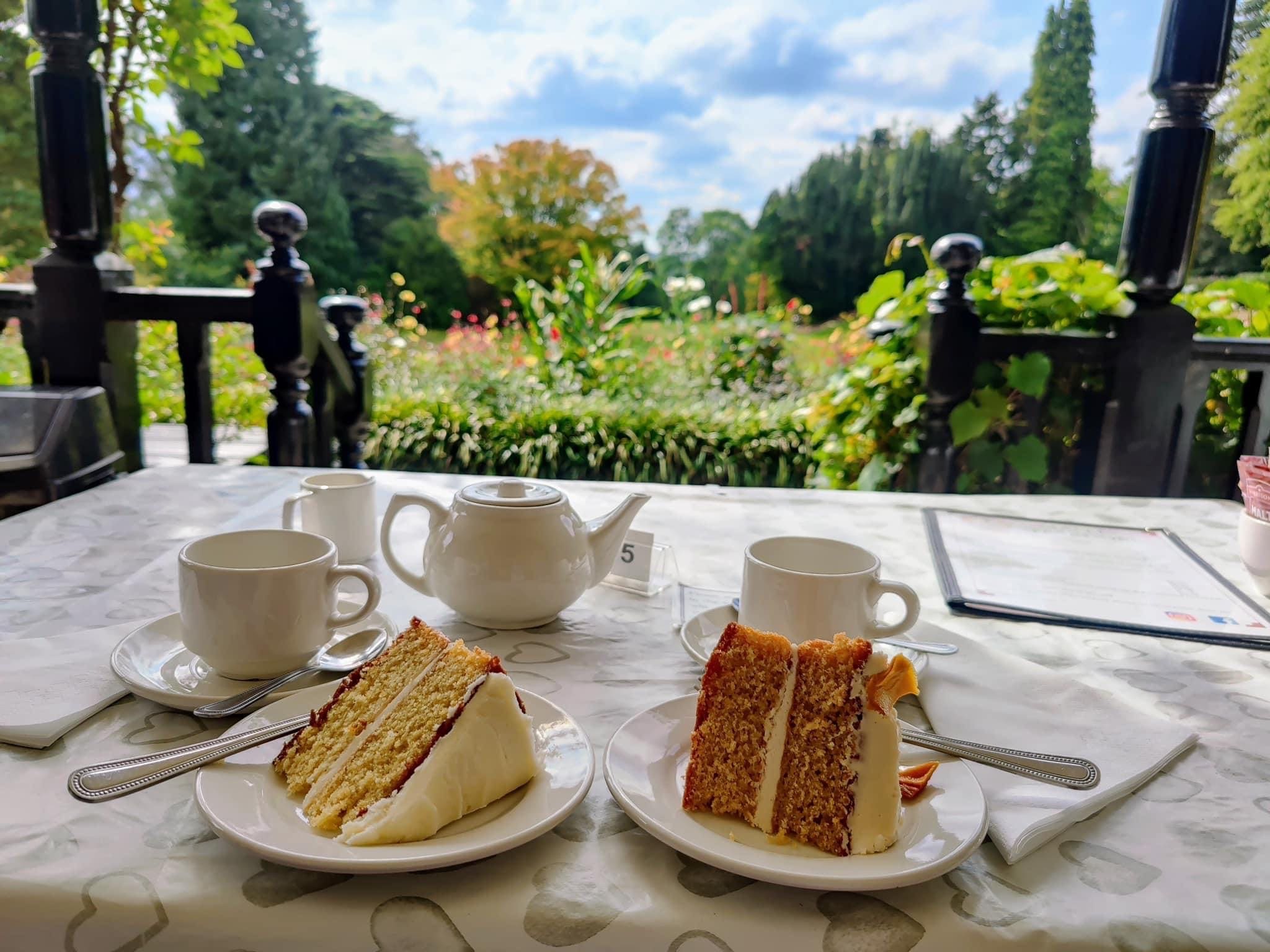 Tea and Cake on the Veranda