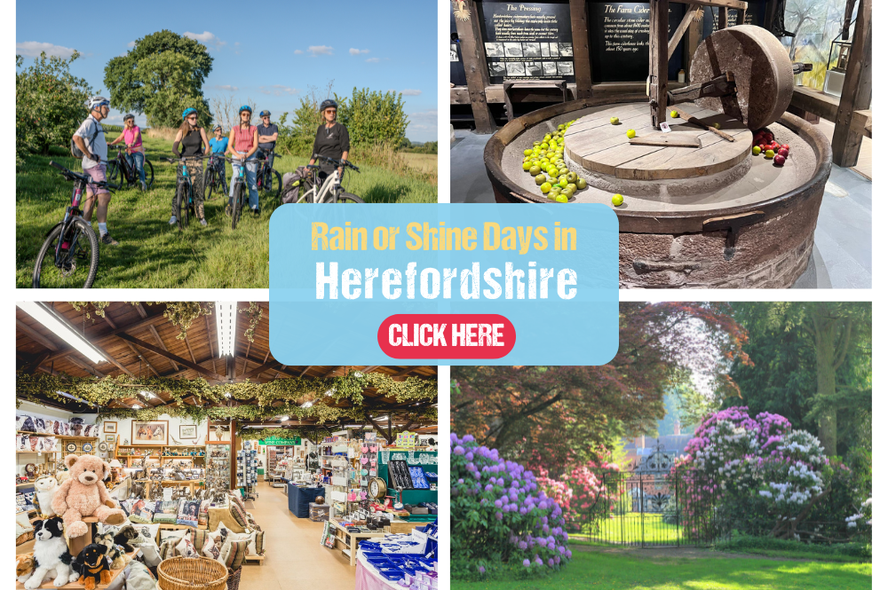 Rain or Shine Days Ad Medium HP