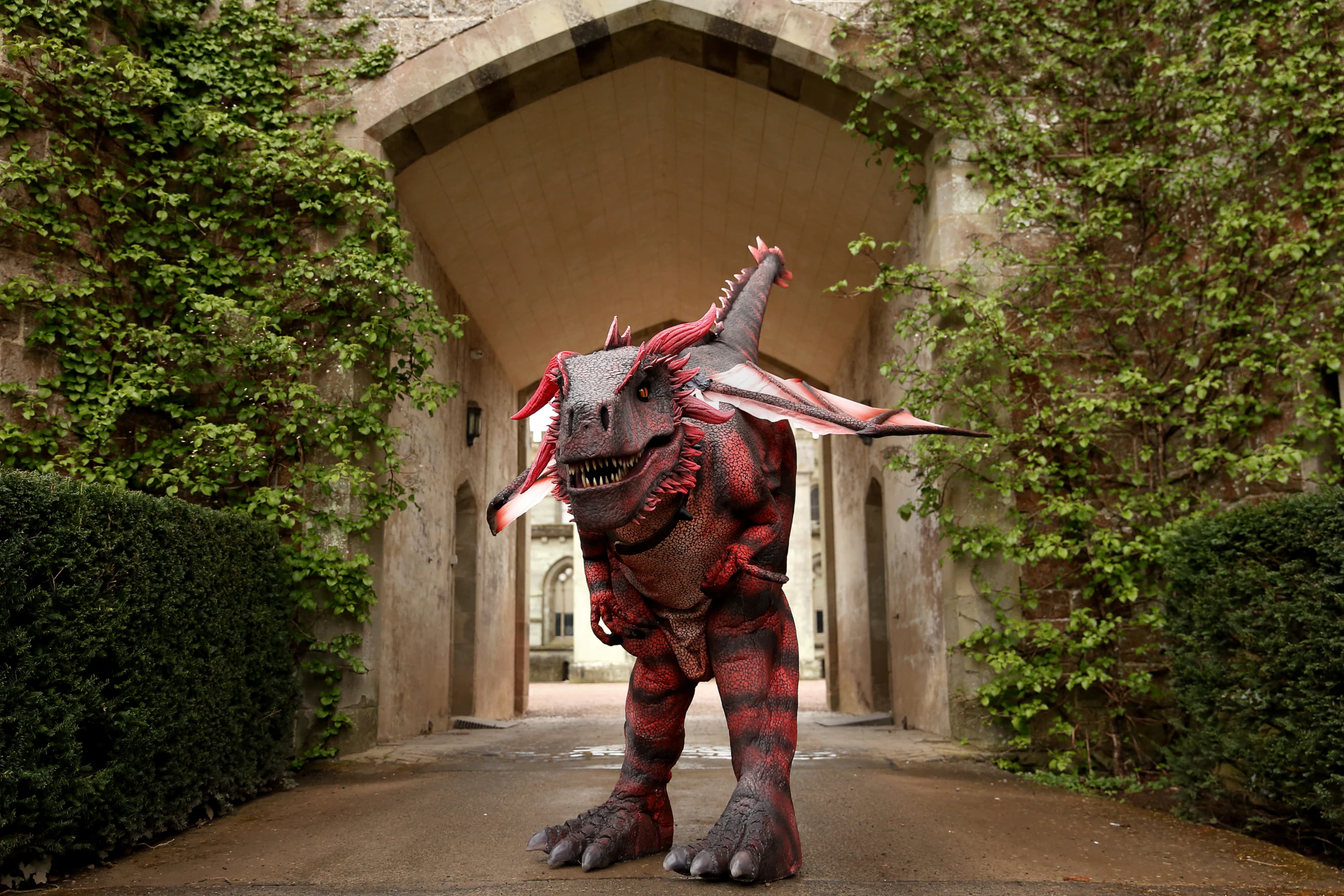 Dragon Eastnor 022