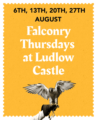 Falconry Thursdays Web