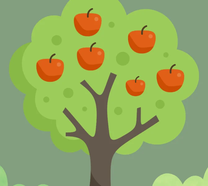apples