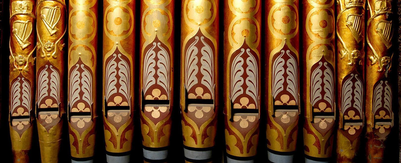 organ