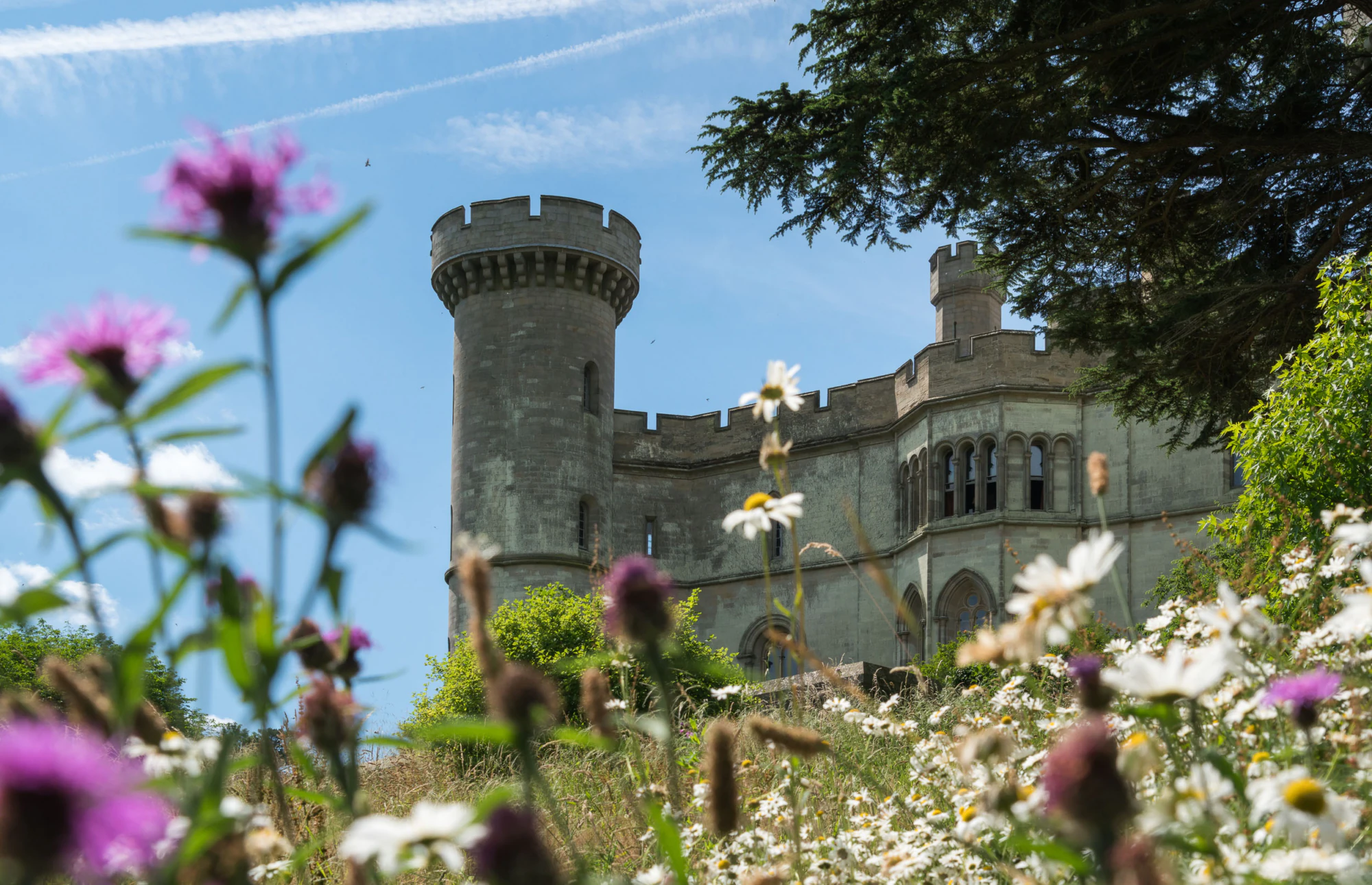 Eastnor Mellow