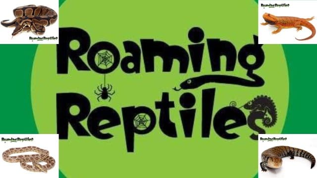 reptiles grange